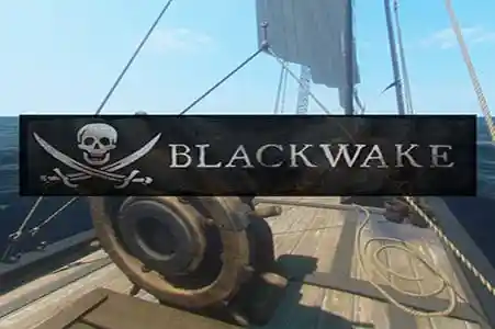 Blackwake game server hosting