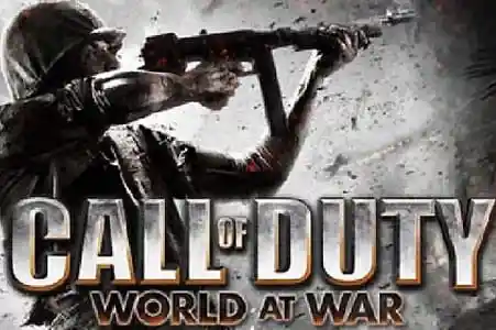 Call of Duty 5 World at War game server hosting